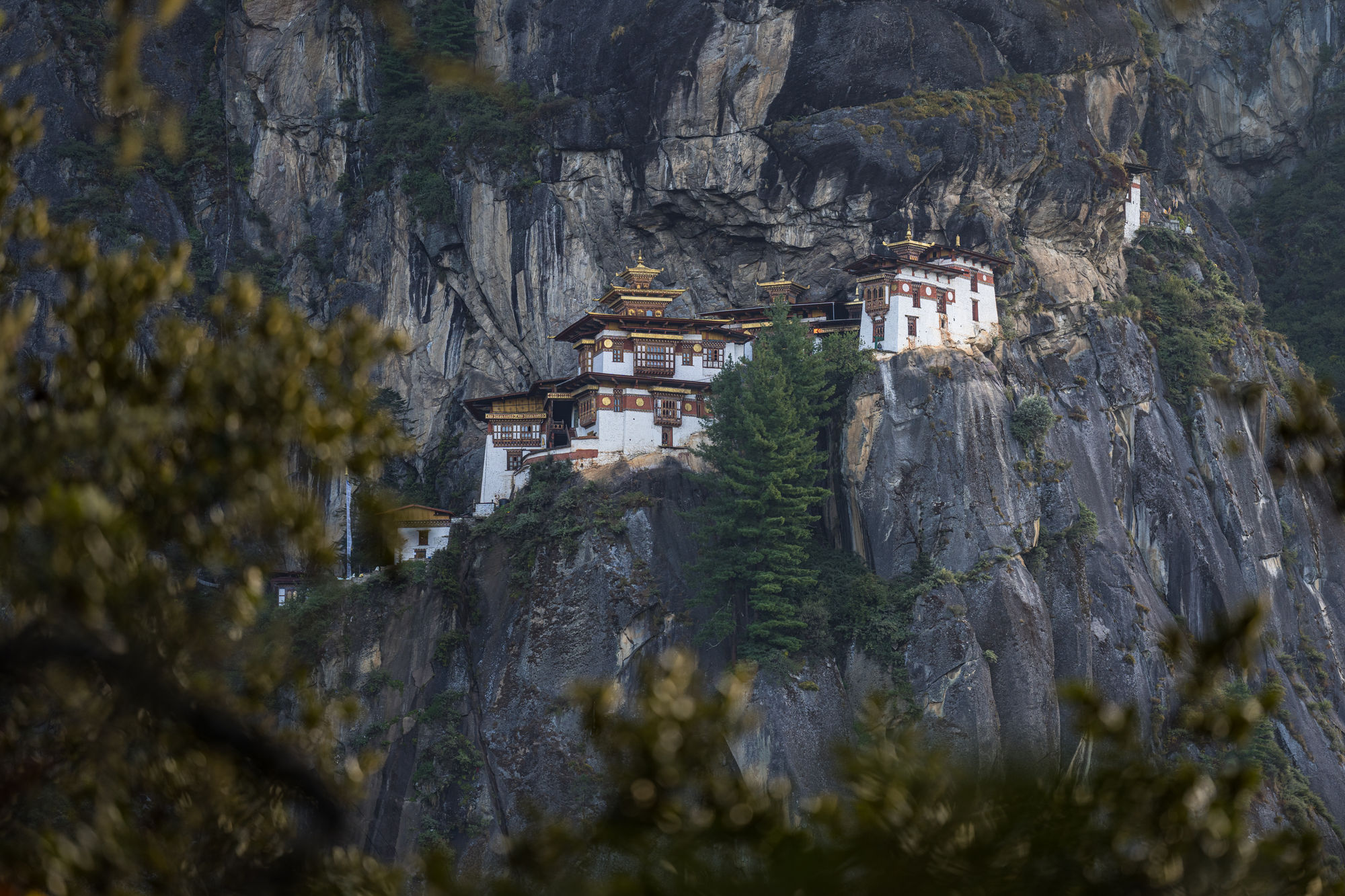 Immerse deep into the unique culture, history & scenic wonders of Bhutan